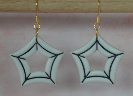 Spider Web (5)